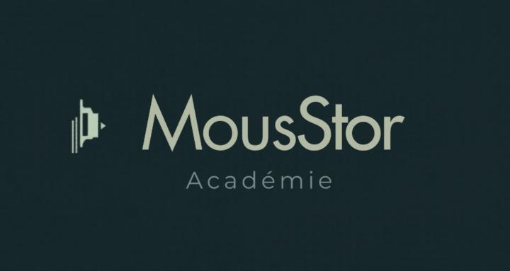 MousStor