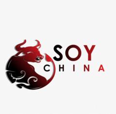 Yo soy China