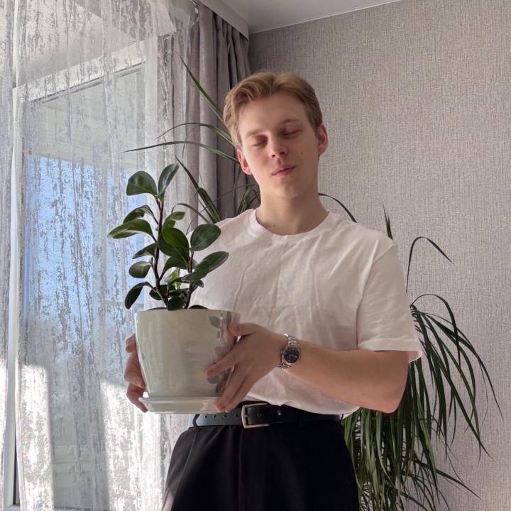 Erian Sunavell