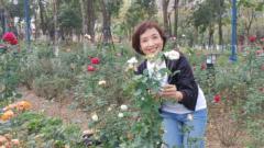 Vũ Anh