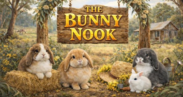 The Bunny Nook