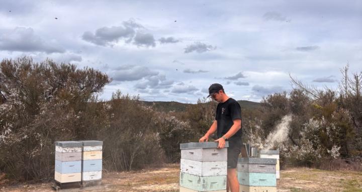 Back to basic Beekeeping