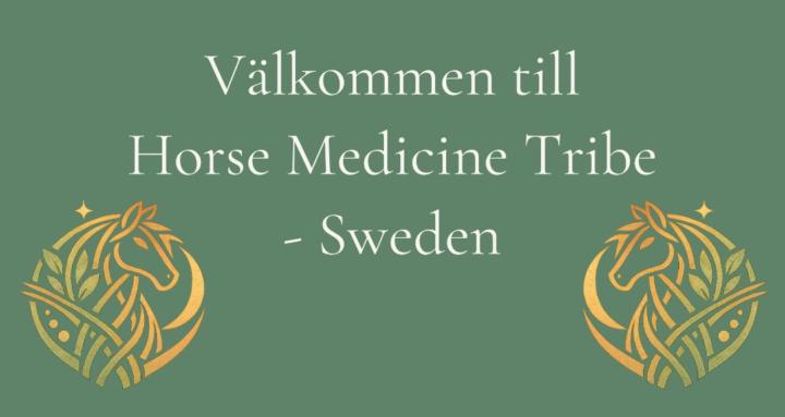 Horse Medicine Tribe - Sweden