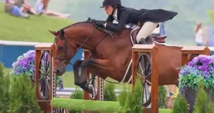 Hunter Jumper Performance Lab