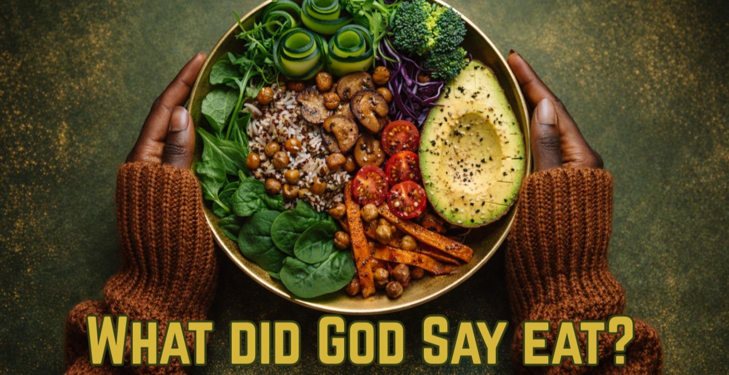 What Did God Say to Eat?  Genesis: 1:29