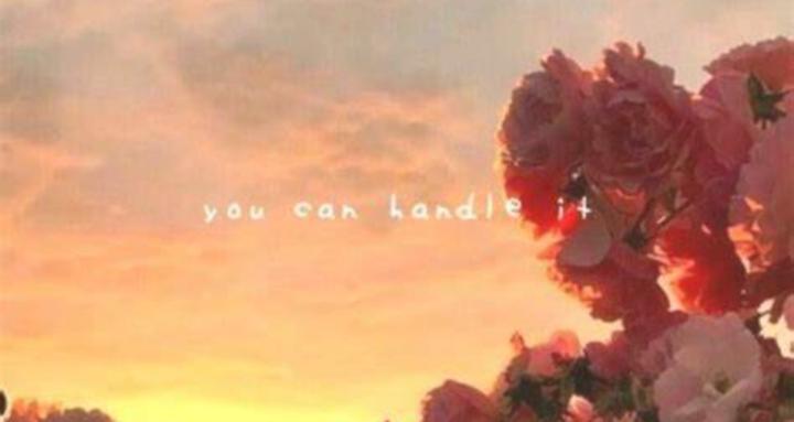 Steady Climb Society