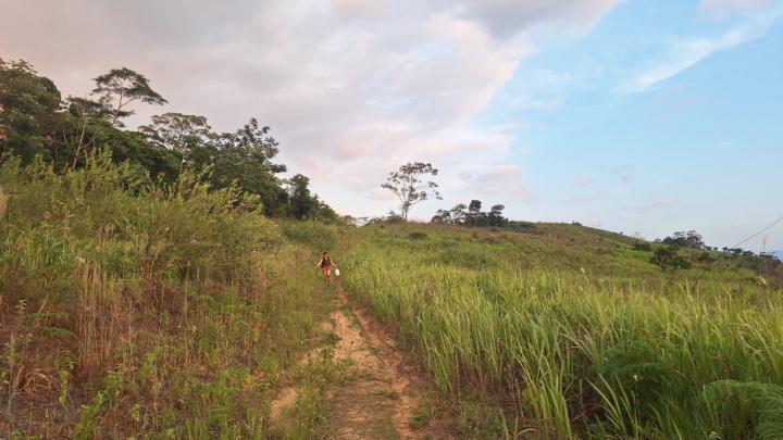 Frank Carlos Ruiz Tuesta