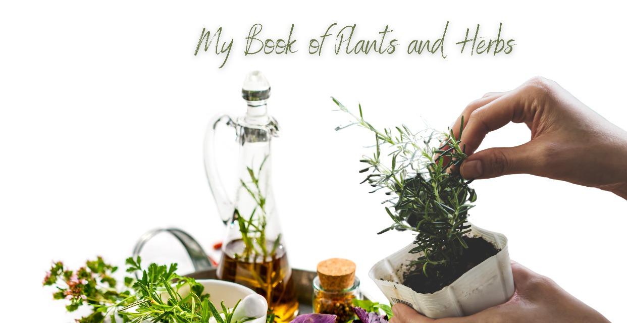 My Book of Plants and Herbs