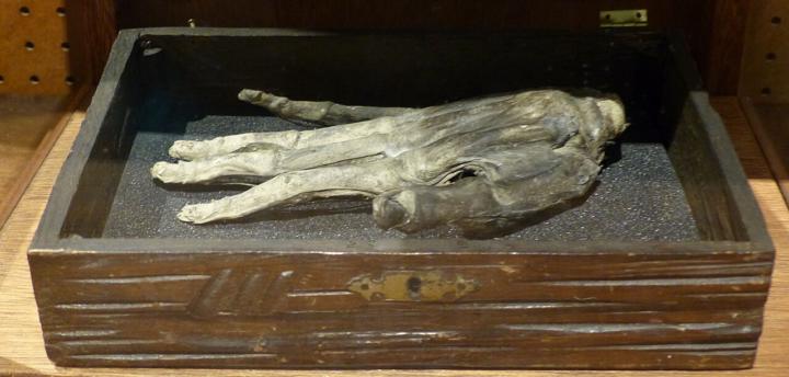 The Hand of Glory