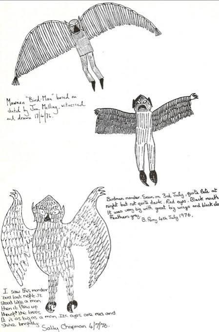 The Cornish Owlman