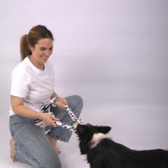 Pame Arias - Off Leash