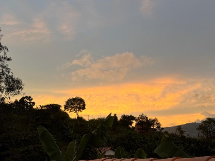 Angie valencia Cardona