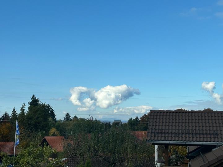 Michaela Pisch-Neuner