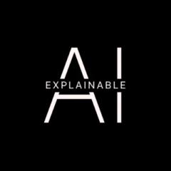 Explainable Ai