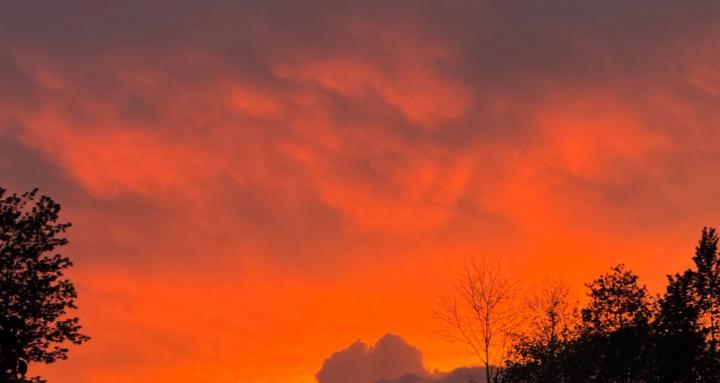 Galactic Order Defense