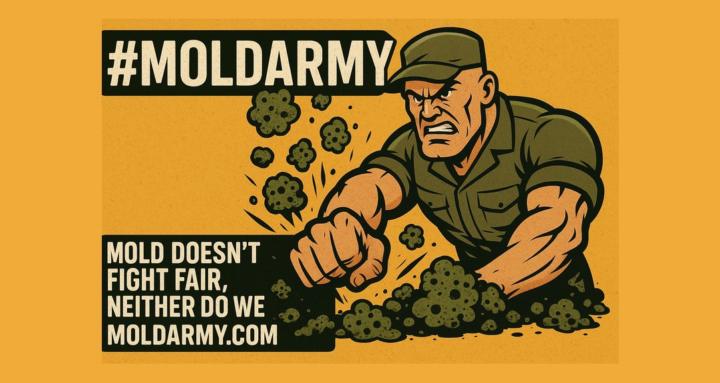 #MoldArmy