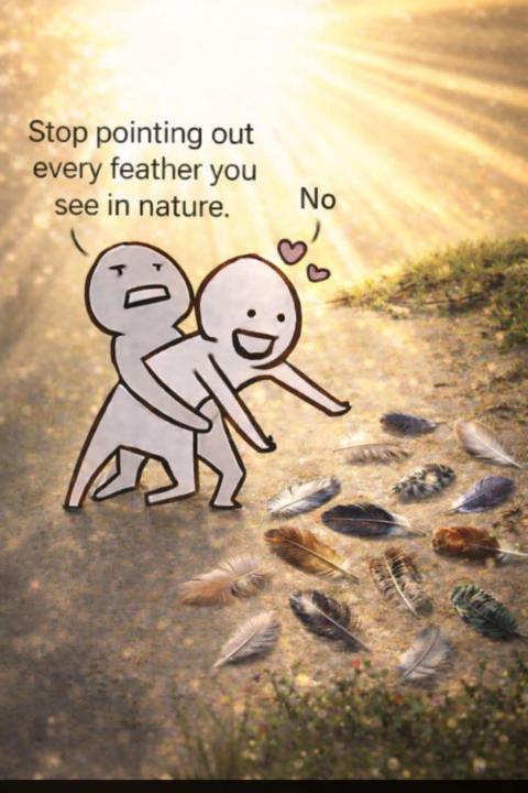 Do you collect gifts from nature?