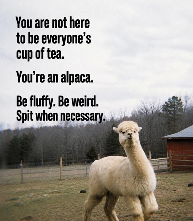 Spirit Animals and Animal Friends 
