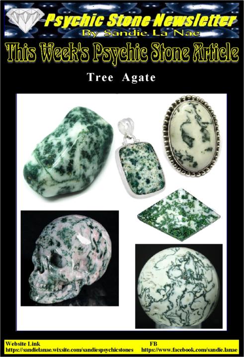 Psychic Stone Newsletter:  Tree Agate