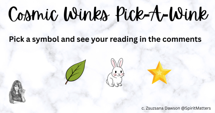 Your Cosmic Wink Pick-a-Wink
