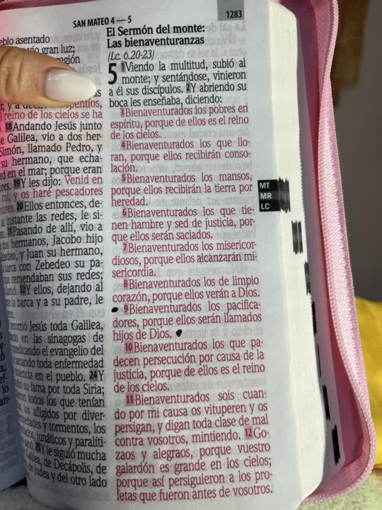 Mensaje del día 