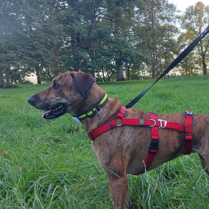 Marta Vasilevičiūtė