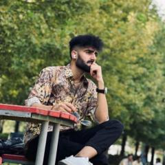 Shah Rome Haider
