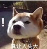 Peng Chunduo