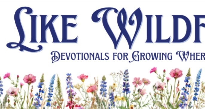 Faith Like Wildflowers