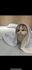 Marf Hundo