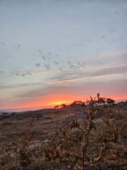 Mohamed mizzian Nadine