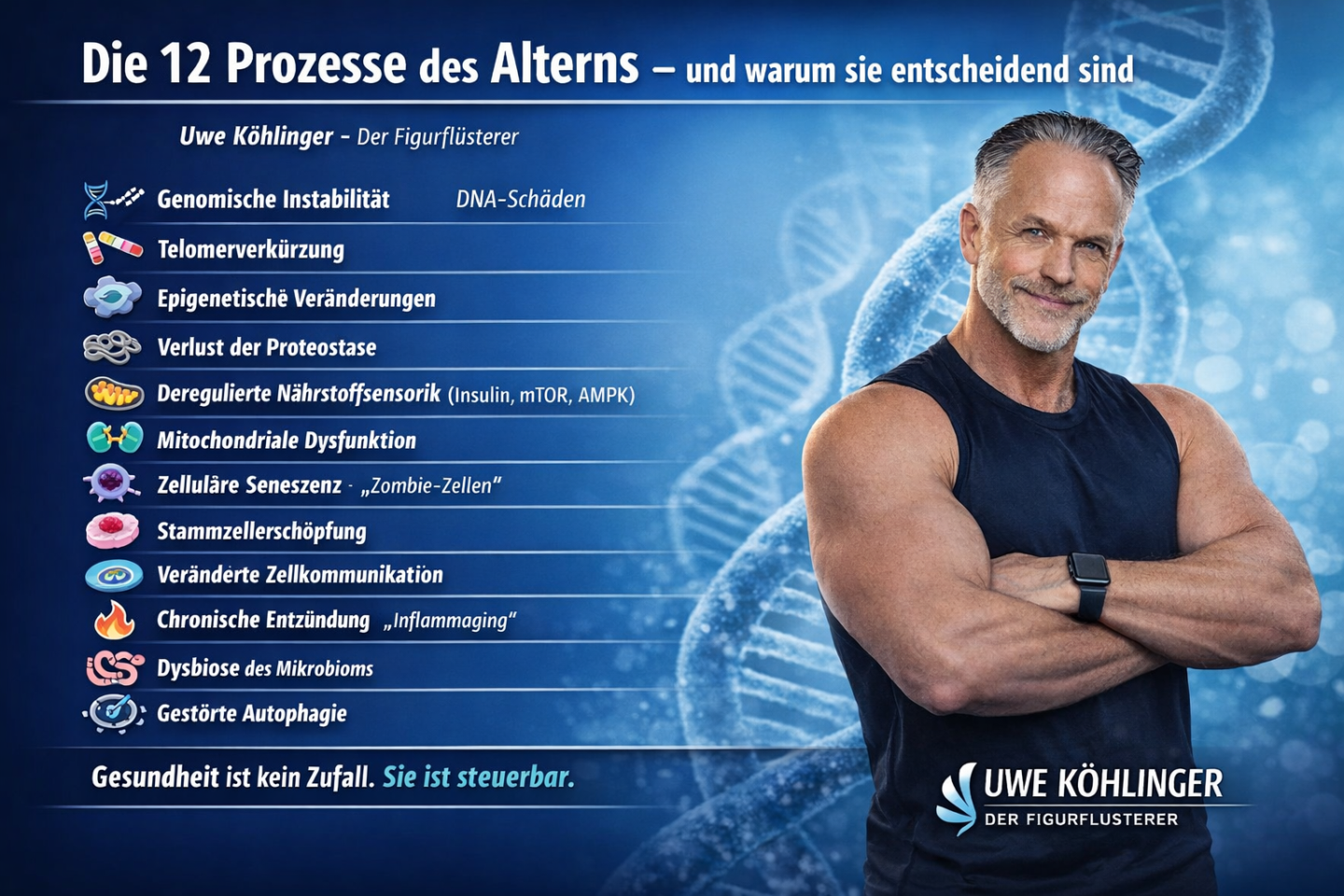 Fitness & Longevity 40plus