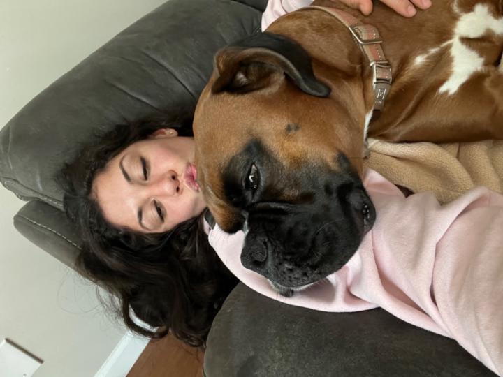 Nicolette Torreggiani