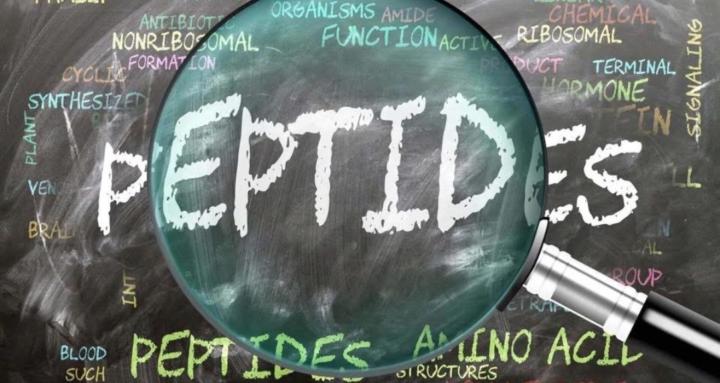 Peptide Research Forum