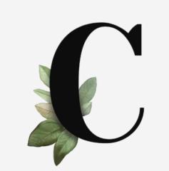 Cc Cc