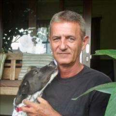 Greg Mitchelhill