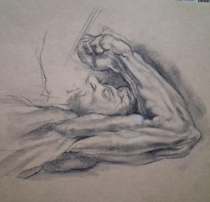 Another arm study from rubens ecorche