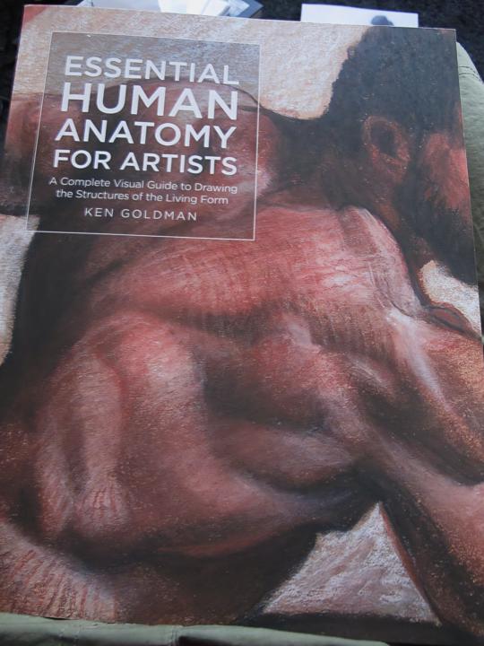Nice Anatomy Book