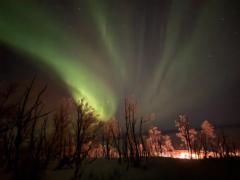 ㄏ ㄨㄏ ㄨㄥ洪 星