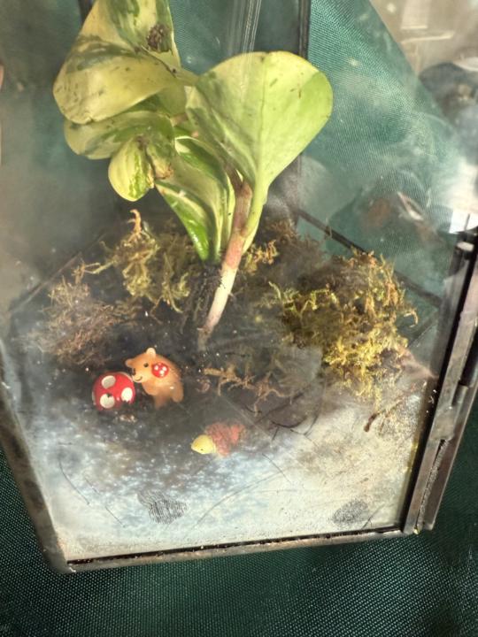 Mariangeles Chinelatto