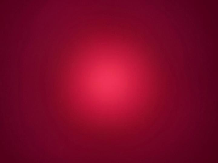 Liliana Sanchez Espinoza Malik