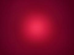 Liliana Sanchez Espinoza Malik