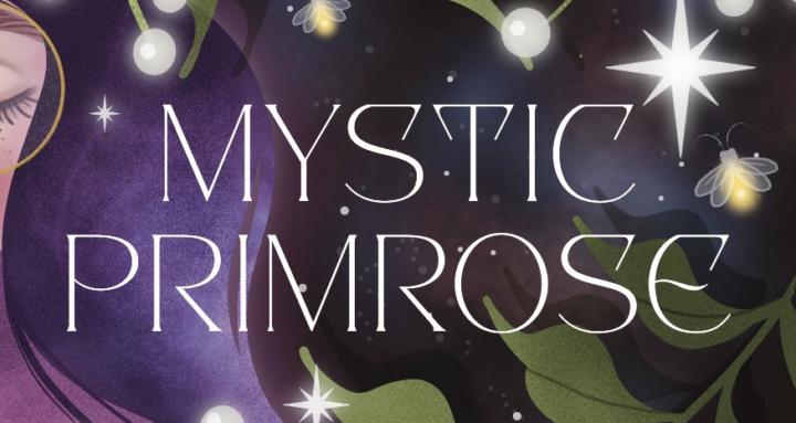 WITCHCRAFT UNIVERSITY