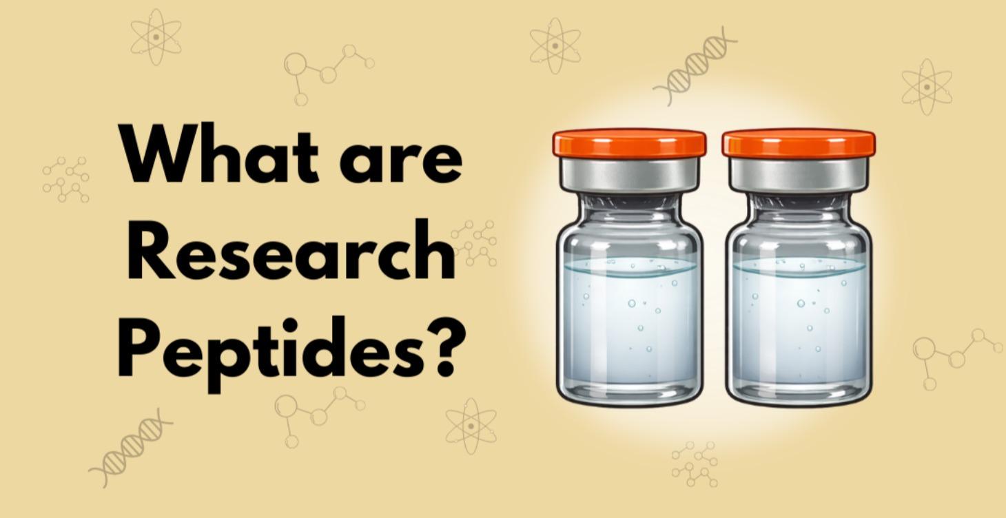 What are Research Peptides?