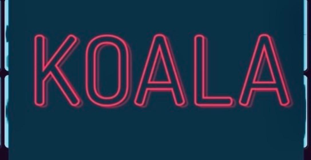 Koala Sampling: hiphop/club music production