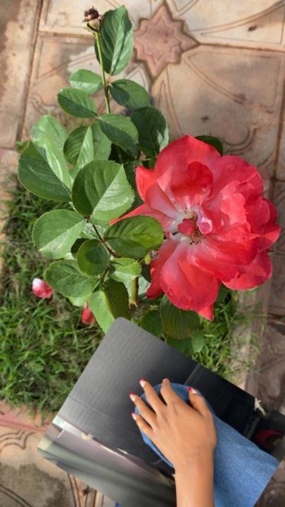 Asmao Cherifa Ayeva Ouedraogo