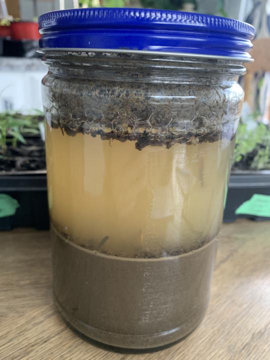 Soil sample 