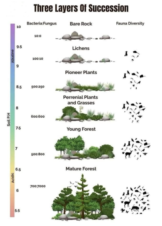 Soil pH and Soil Biology relationship 