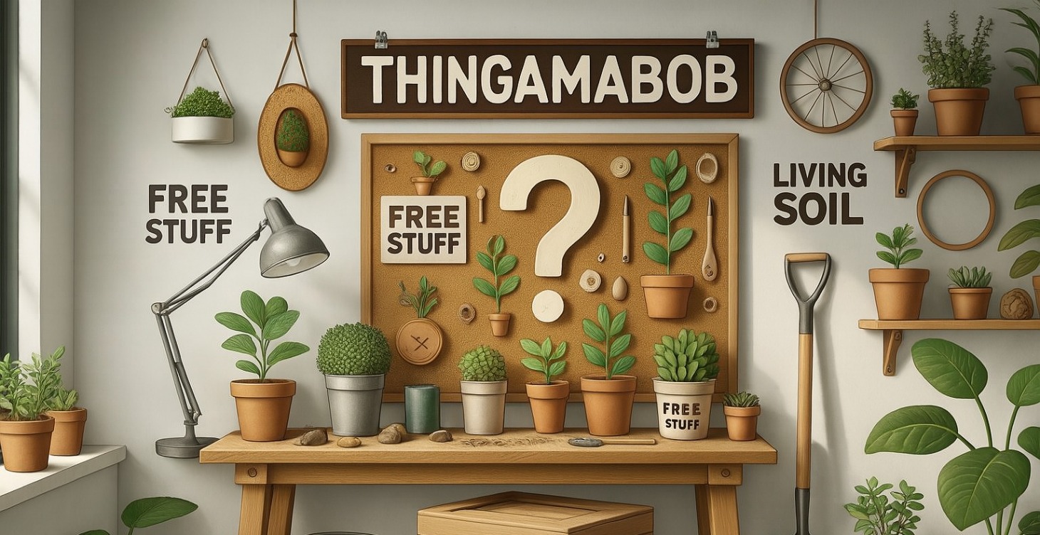 🙊 Thingamabob!