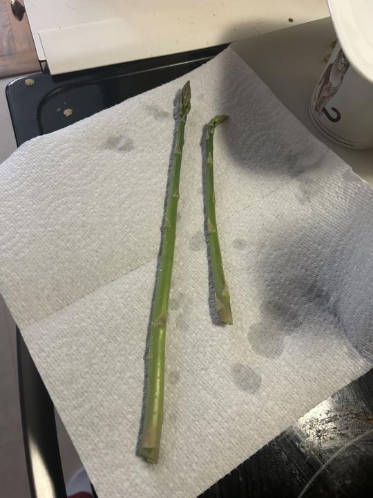 Asparagus!!!
